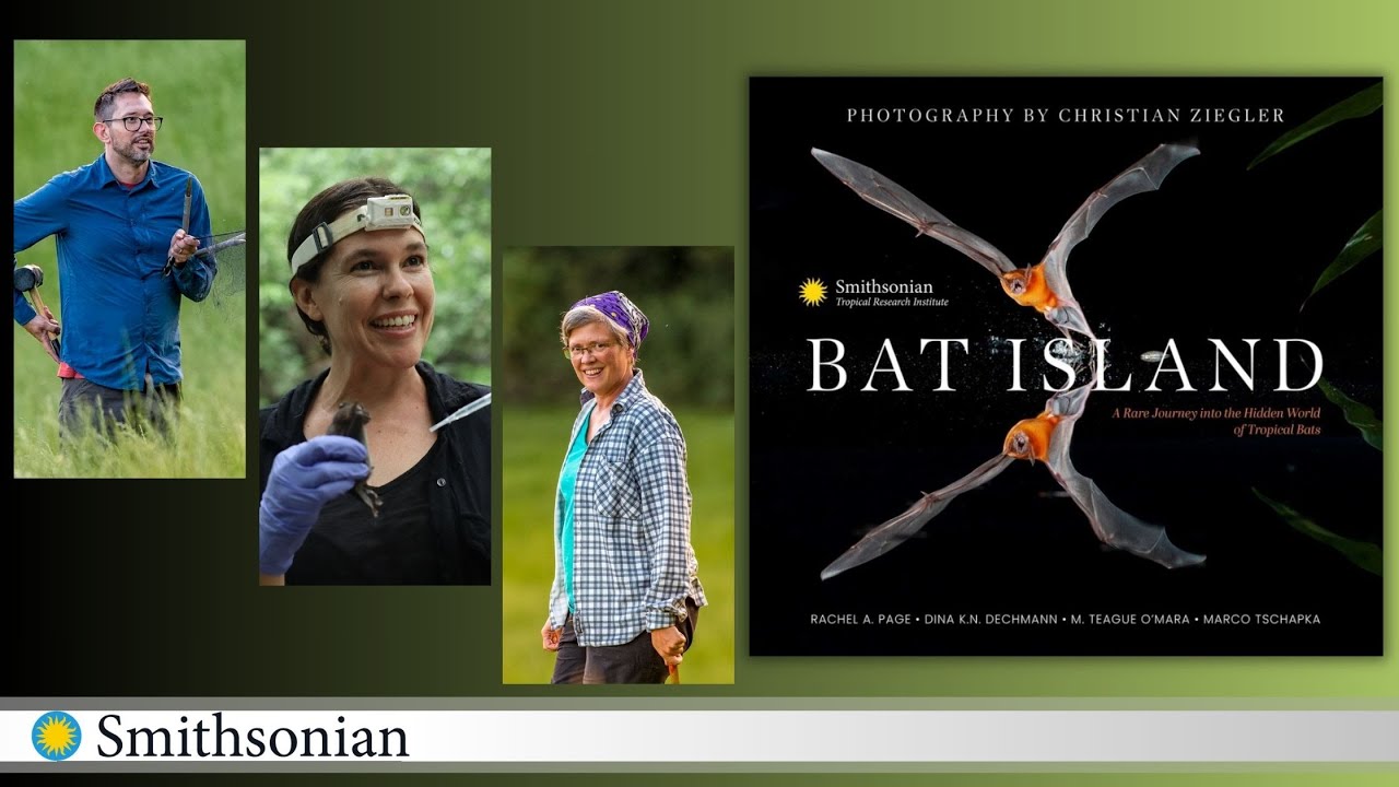 A Journey into the Hidden World of Tropical Bats with Scientists from the Smithsonian Tropical Research Institute