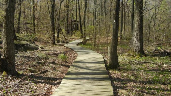 Tenafly Nature Center Walk