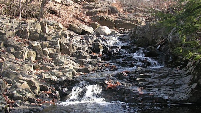 An Environmental Exploration of South Mountain Reservation & Storm Water!