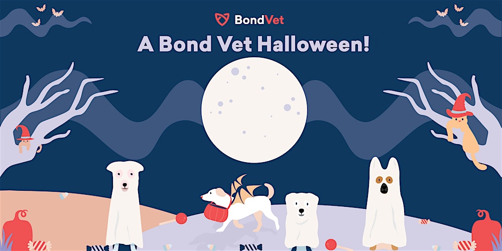 Halloween Party at Bond Vet Edgewater