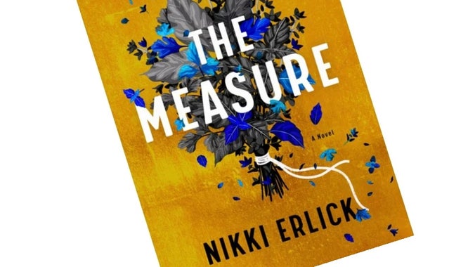 Dec 2024: The Measure: Nikki Erlick