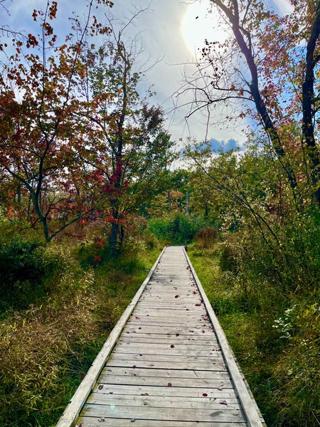 Neurodiverse and Neurotypical Walk! Paramus NJ Ages 18-40