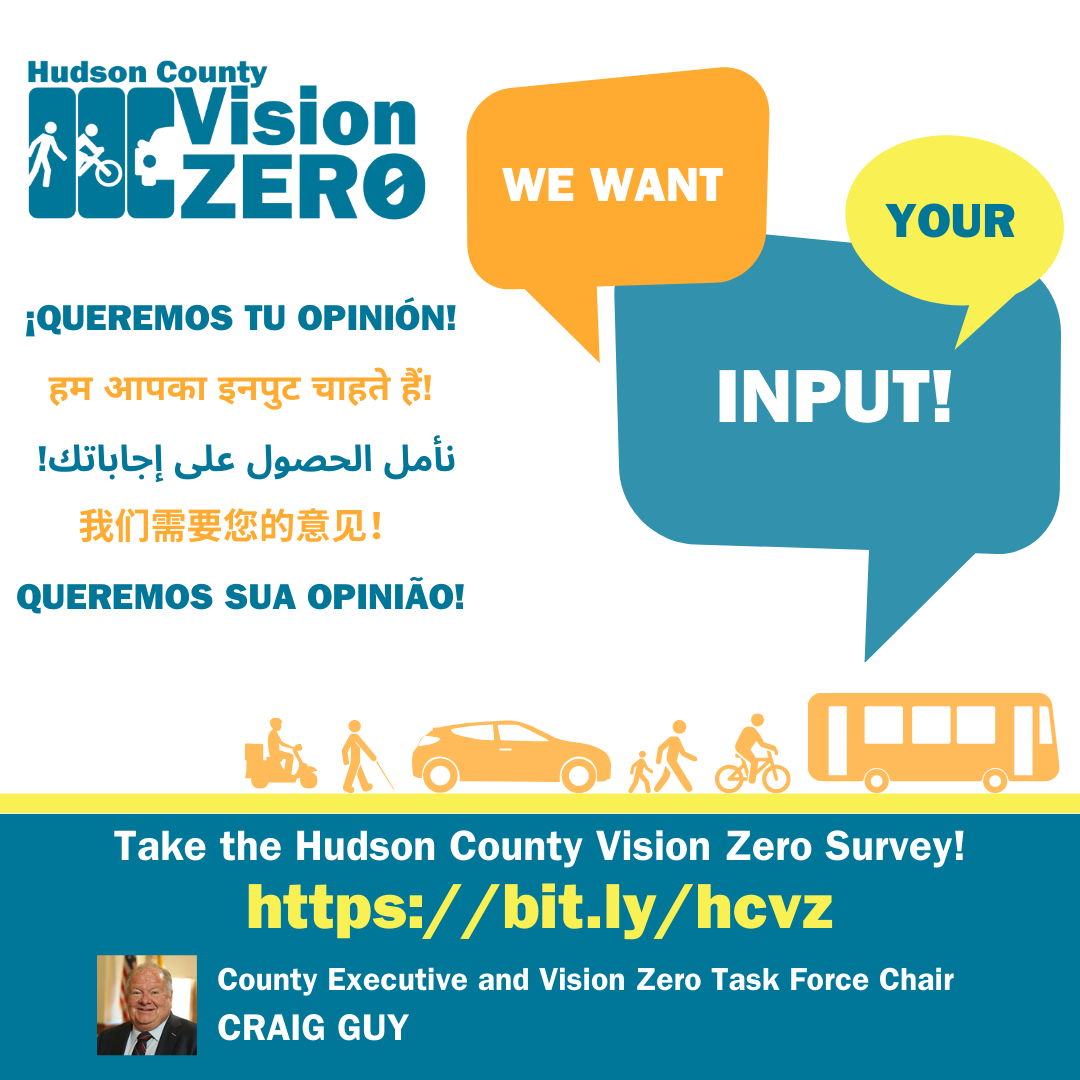 Vision Zero Survey