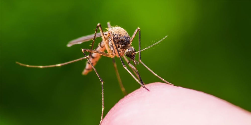 Bergen County Mosquito Control - Spraying